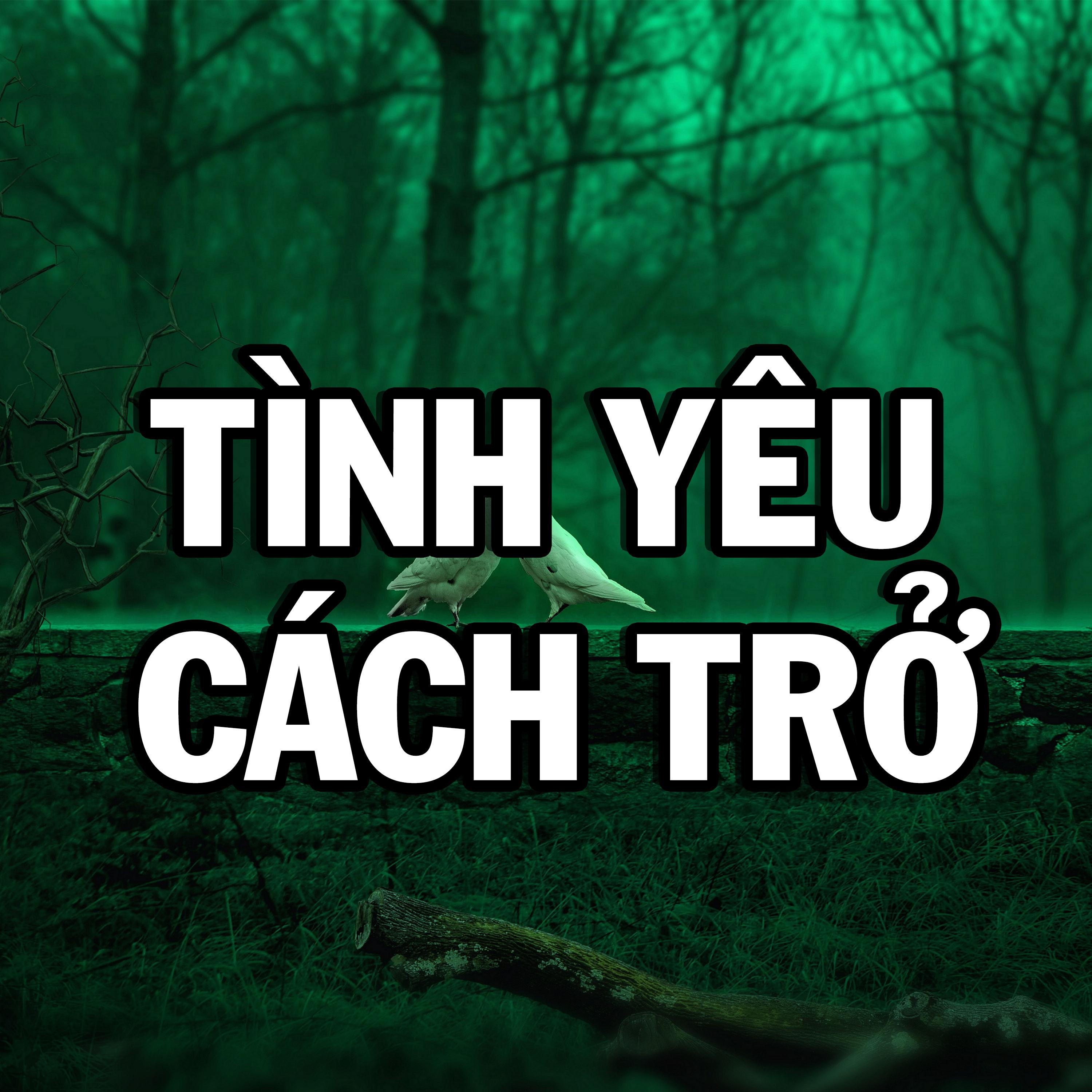 trò chơi tốt nhất Cần Thơ tìm hiểu